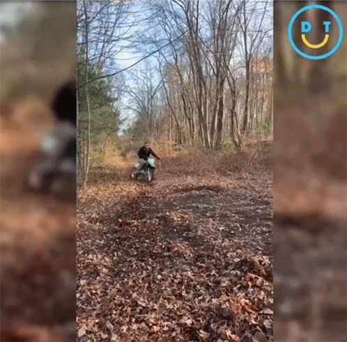 person riding motorcycle through a wooded area at sunset
