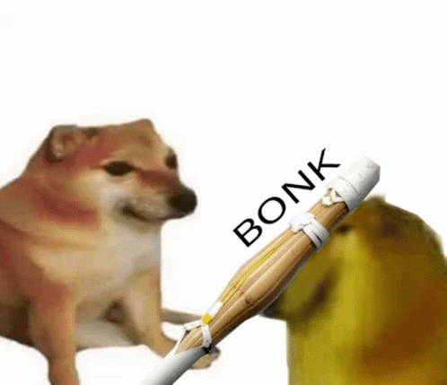 a dog looks like a bonk and the cat is holding it up