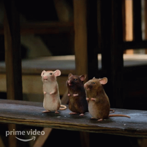 three mice standing on a table in a scene