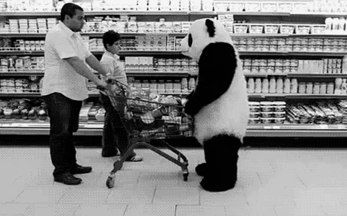 a person hing a shopping cart near a panda costume