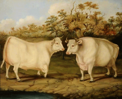two bulls in an artwork work with trees