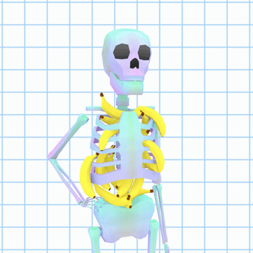 a stylized, colorful drawing of a human skeleton and muscles