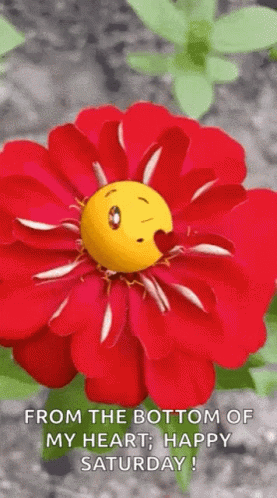a blue flower that is smiling in front of a caption