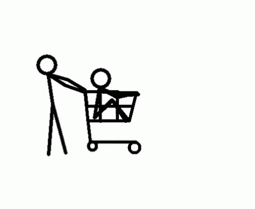 a person in a shopping cart