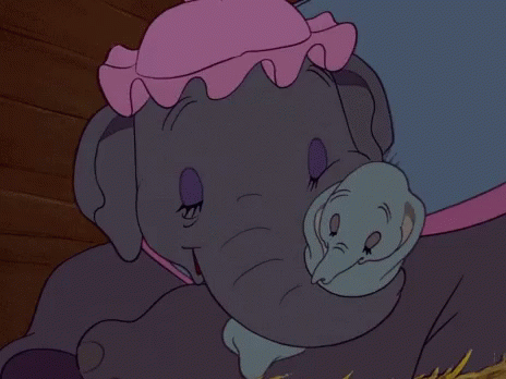 a elephant wearing a hat hugs it's youngster
