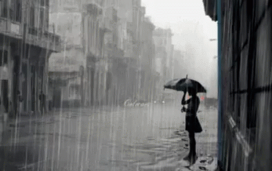a person walking under an umbrella on the rain soaked street