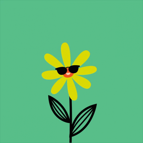 a picture of a flower wearing sunglasses