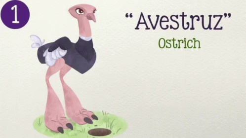 an ostrich with the caption, the one in front is on the opposite corner