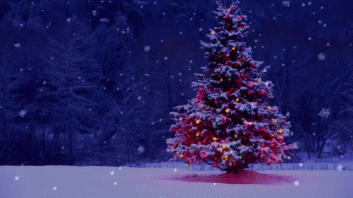 a small christmas tree in the snow with a pink background