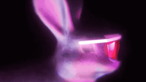 the reflection of a rabbit head in a purple lens