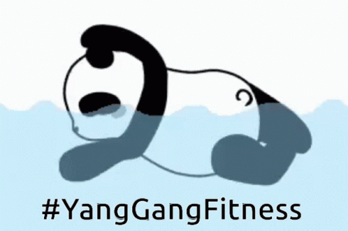 the logo for yangangng fitness is shown with a cartoon image of a fat cat