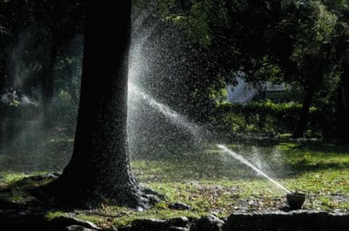 a sprinkle in the garden with water running from a hose