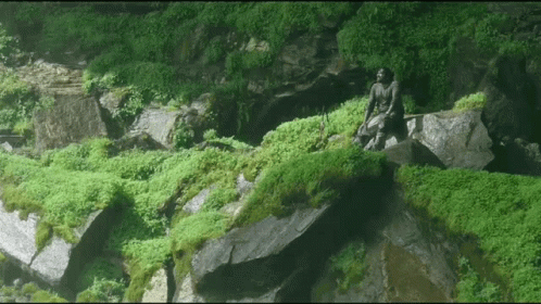 man sitting on a rock in green vegetation