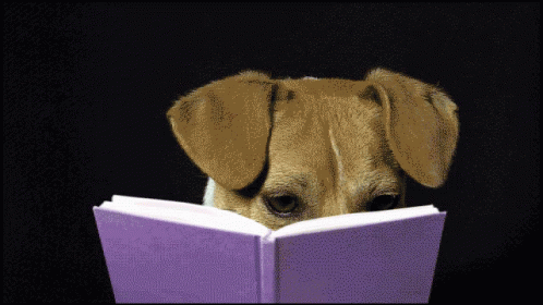 dog in the frame, reading a book