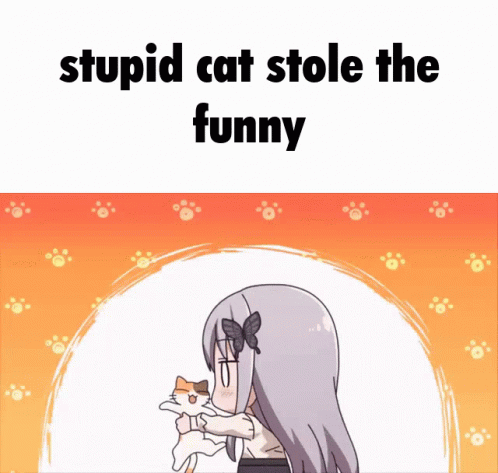 an animated picture with a caption that reads stupid cat stole the funny