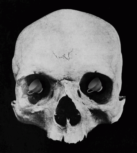 a skull is shown with two eyeballs in the middle