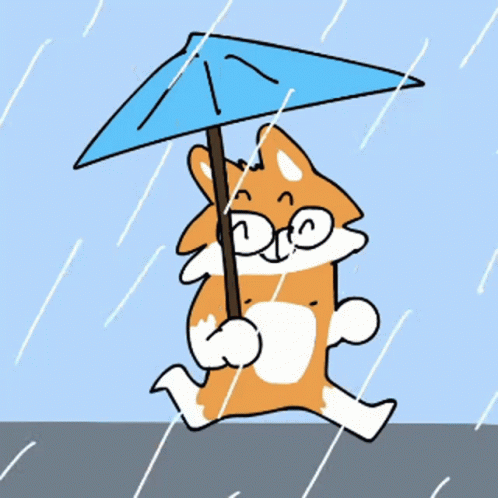 a cat with an umbrella dancing in the rain