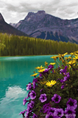 purple and green flowers are in front of the mountains