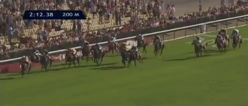 a line of horses race down the track as people watch