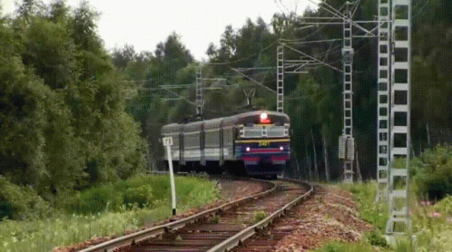 a train going through a green wooded area