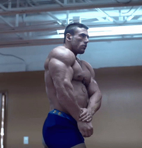 a shirtless bodybuilding man posing in a gym