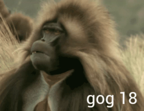 a gorilla in fur with the title goggi 18 written above