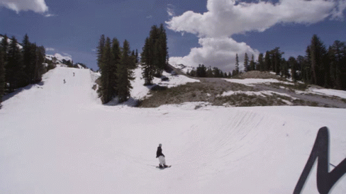 snowboarder glides on flat ground below trees in alpine area