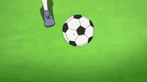 a person kicking a soccer ball on a field