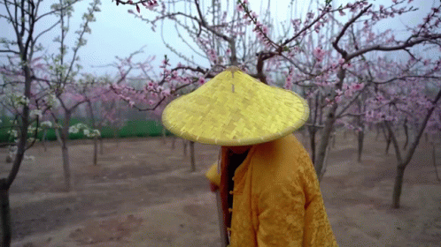 a woman wearing a blue kimono holds an umbrella over her head