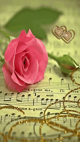 a purple rose sitting on top of sheet music