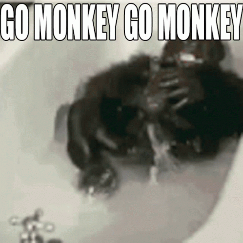 a bathroom that has the caption monkey go monkeyy