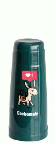 thermos bottle with a picture of a dog and a cat on it