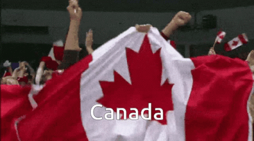 a picture of people waving canadian and canadian flags