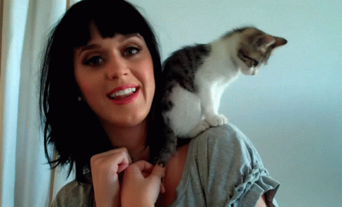 a cat sits on top of a woman's shoulders