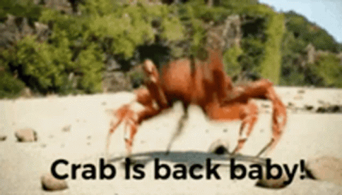 a crab is crawling on the white sand with text