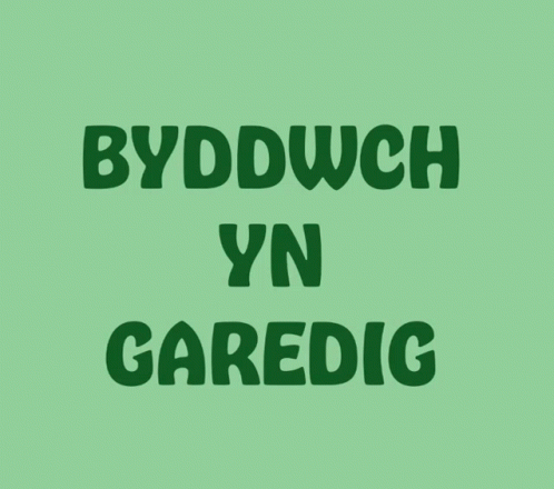 green type is featured on this image with the words, byddwdchvn garretic