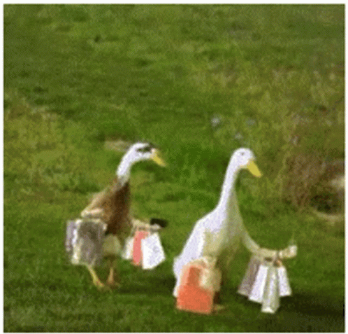 two geese are walking together in the grass