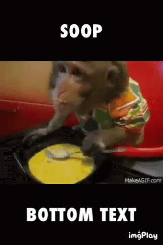 a monkey plays on a record that is on the floor