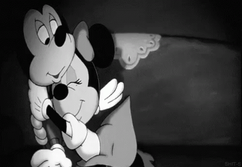 the black and white picture shows two small mice touching