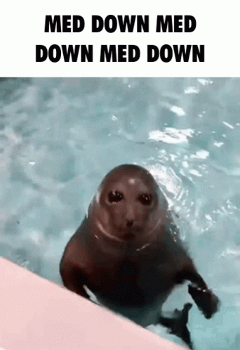 an animal in the water and with captioning
