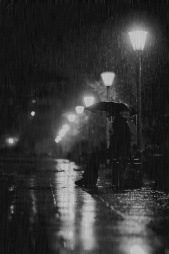 a person walking in the rain with an umbrella