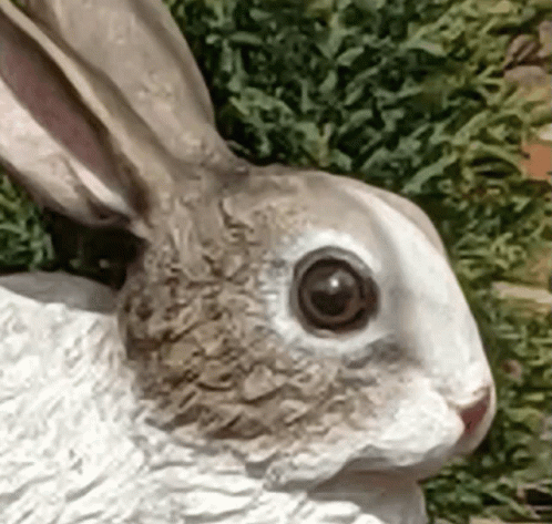 a white bunny statue sitting on top of grass