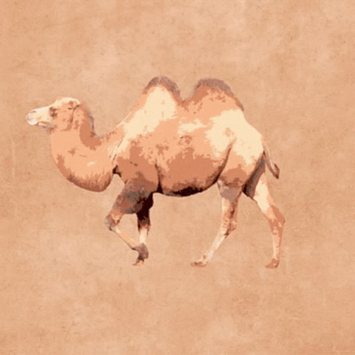 the painting shows a lone, white and gray camel