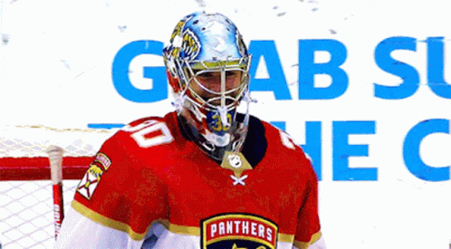 an ice hockey goalie wearing a mask and standing near a net