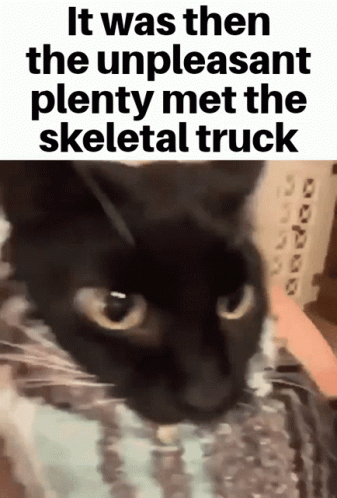 a picture of a black cat with the caption, it was then the unplasant plenty met the skeletal truck