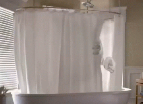 the curtain of a shower curtain in a bathroom