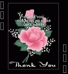 a pograph of a flower that has the words thank you for being my oscar once gaver