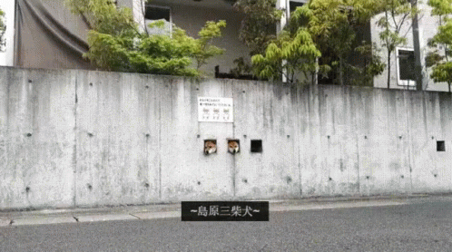 an image of a wall with the japanese writing