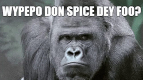 a gorilla looking angry while text reads wypedo don spice die f foa
