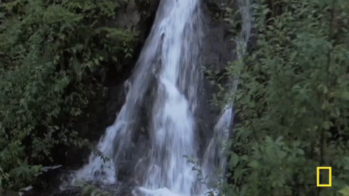 a group of people climbing up a tall waterfall